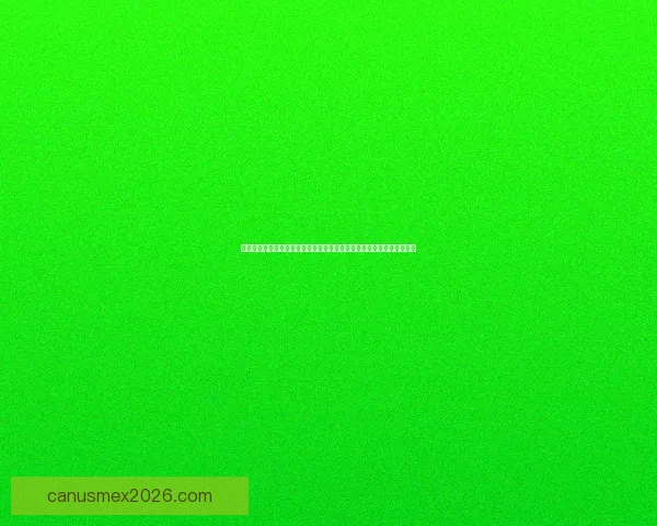 世界杯竞猜盘口预测技巧与数据分析结合的高命中率实战指南与趋势解读