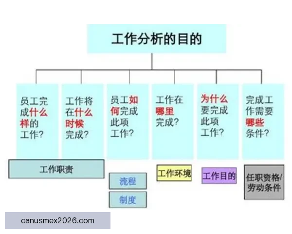 世界杯足球竞猜预测全攻略 提升你的胜率与分析技巧