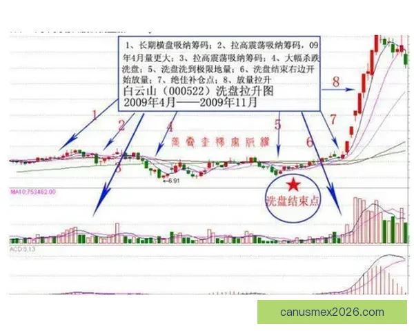 世界杯跟单实战技巧与稳定盈利策略全面解析助赢率持续提升指南
